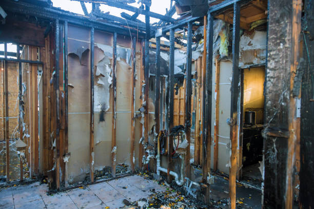 Professional Smoke Damage Removal technician working in Ocoee, FL