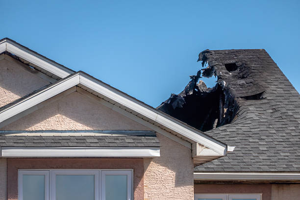 Top rated local Smoke Damage Removal specialists in Ocoee, FL